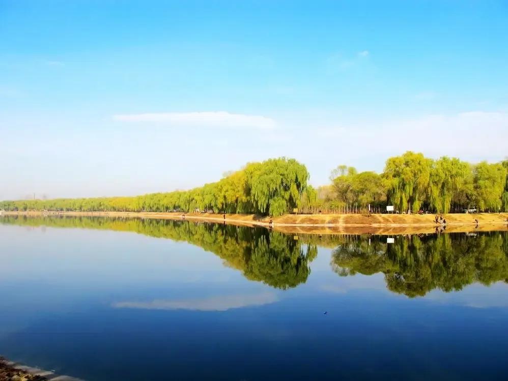 王炸户型价格,洋房155平左右王炸户型