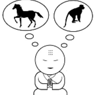 一天一成语Ⅰ杳如黄鹤：典故、成语接龙、看图猜成语