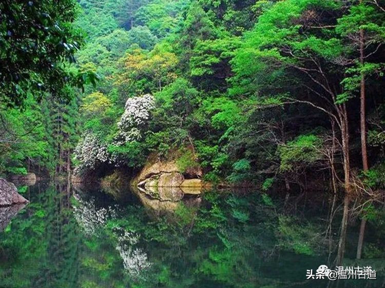 温州市2022年人口最多的镇,温州市各乡镇人口排名