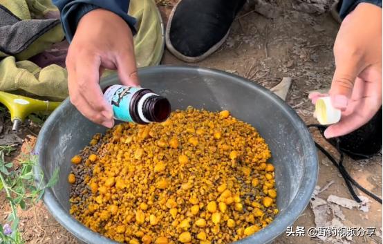 水里有小虫子就钓不到鱼怎么回事,水里有鱼为什么就是钓不到