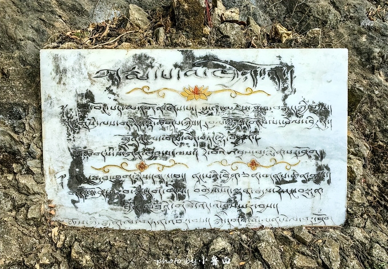 玩转云南自由行,昆明大理丽江6天5晚游多少钱