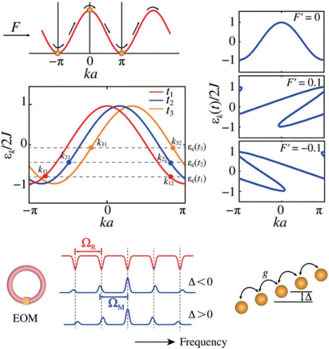 量子光学、太赫兹......2021年光学热点回眸（下）|回眸