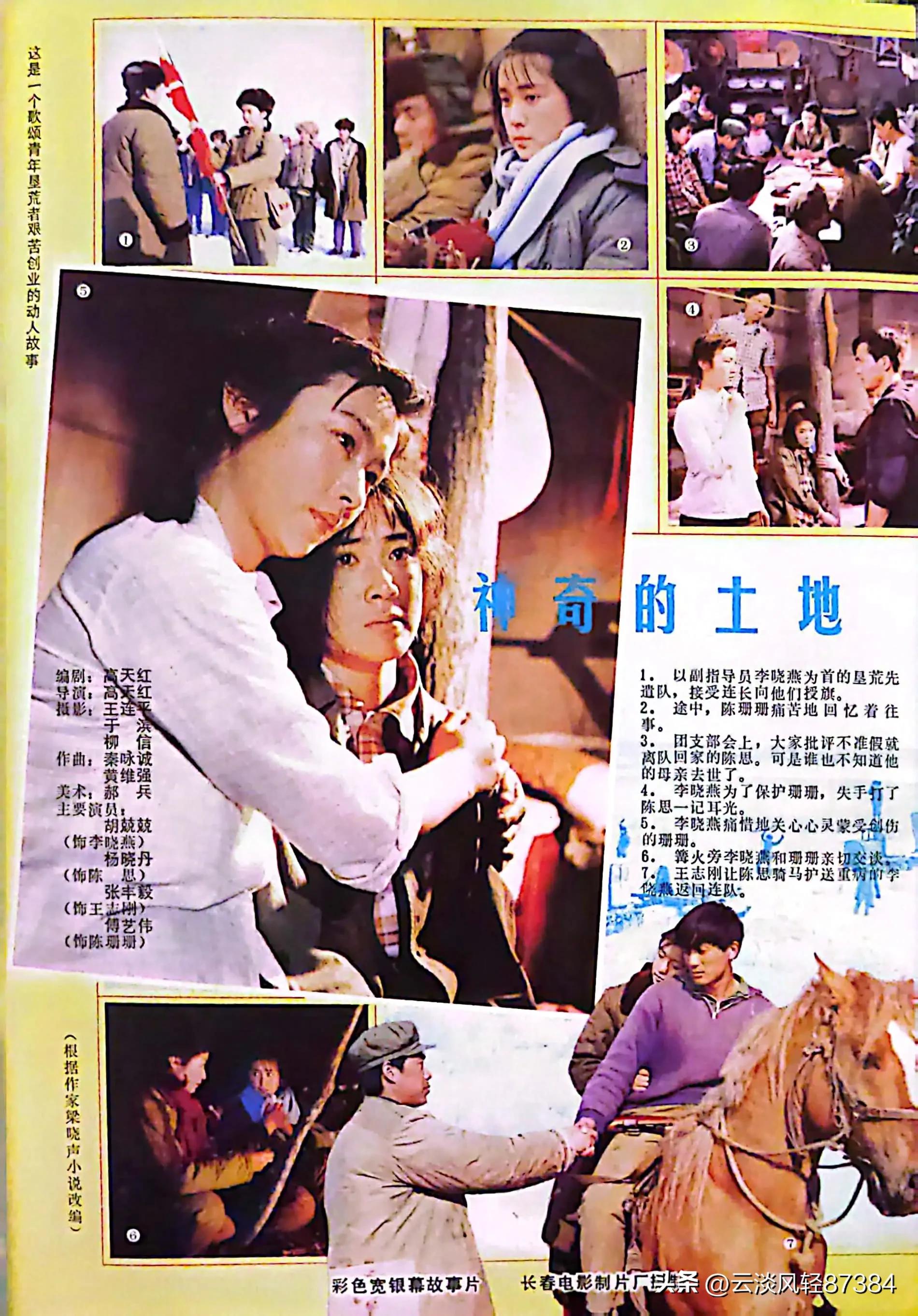 大众电影免费在线观看,大众电影名