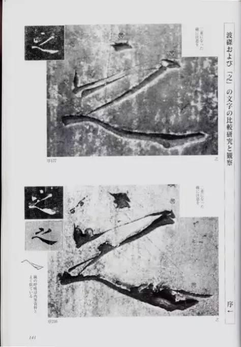 宸ョ瑪鐢绘潹鏅箟鐢诲唽,鏉滈箖鏉ㄦ櫘涔夊畬鏁寸増