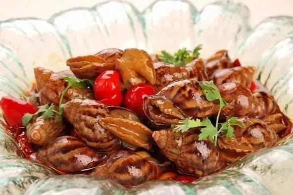 都是蜗牛，法国蜗牛与非洲蜗牛有啥不同？原来相差这么大，涨知识