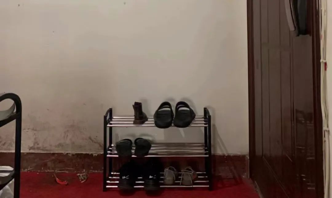 家里蟑螂太多怎么才能根除蟑螂,蟑螂诱饵可以根除蟑螂吗