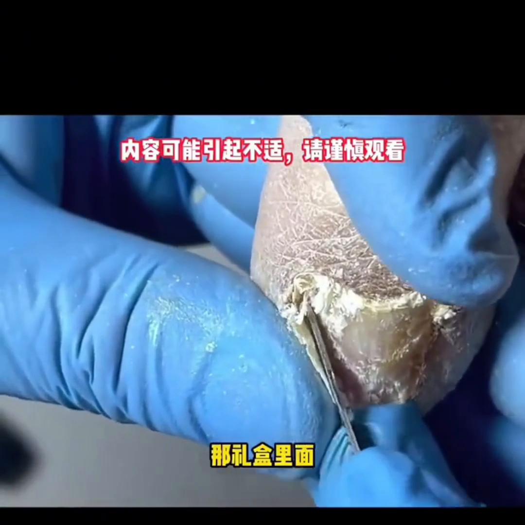 抖音首页搜小程序故事会,抖音首页搜索故事会小程序