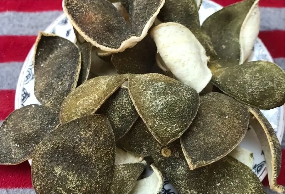 中药青皮,每日一味中药陈皮