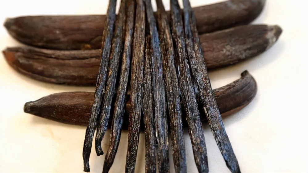 美洲香荚兰,墨西哥香荚兰