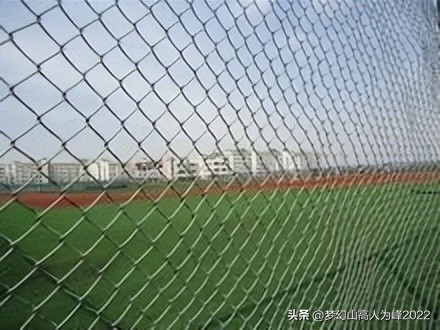 专业足球场草皮,专业足球场多大