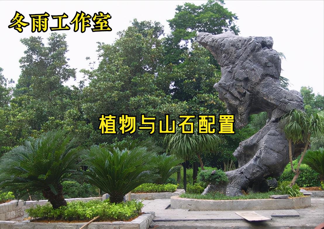 景观植物造景设计一般技法,景观植物设计园林植物造景