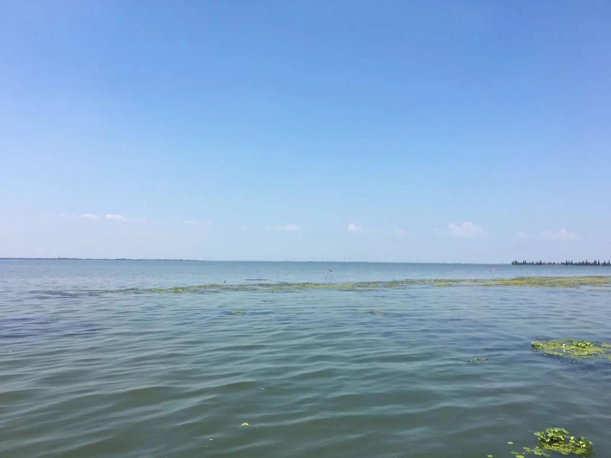 上海古镇自驾游最佳路线,金泽古镇自驾攻略