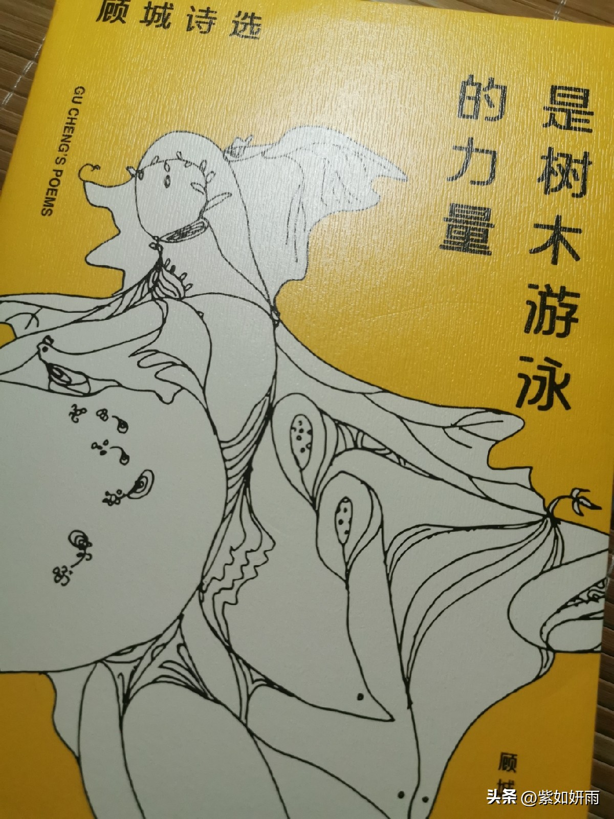 顾城的诗值得我们看吗,顾城的诗评价