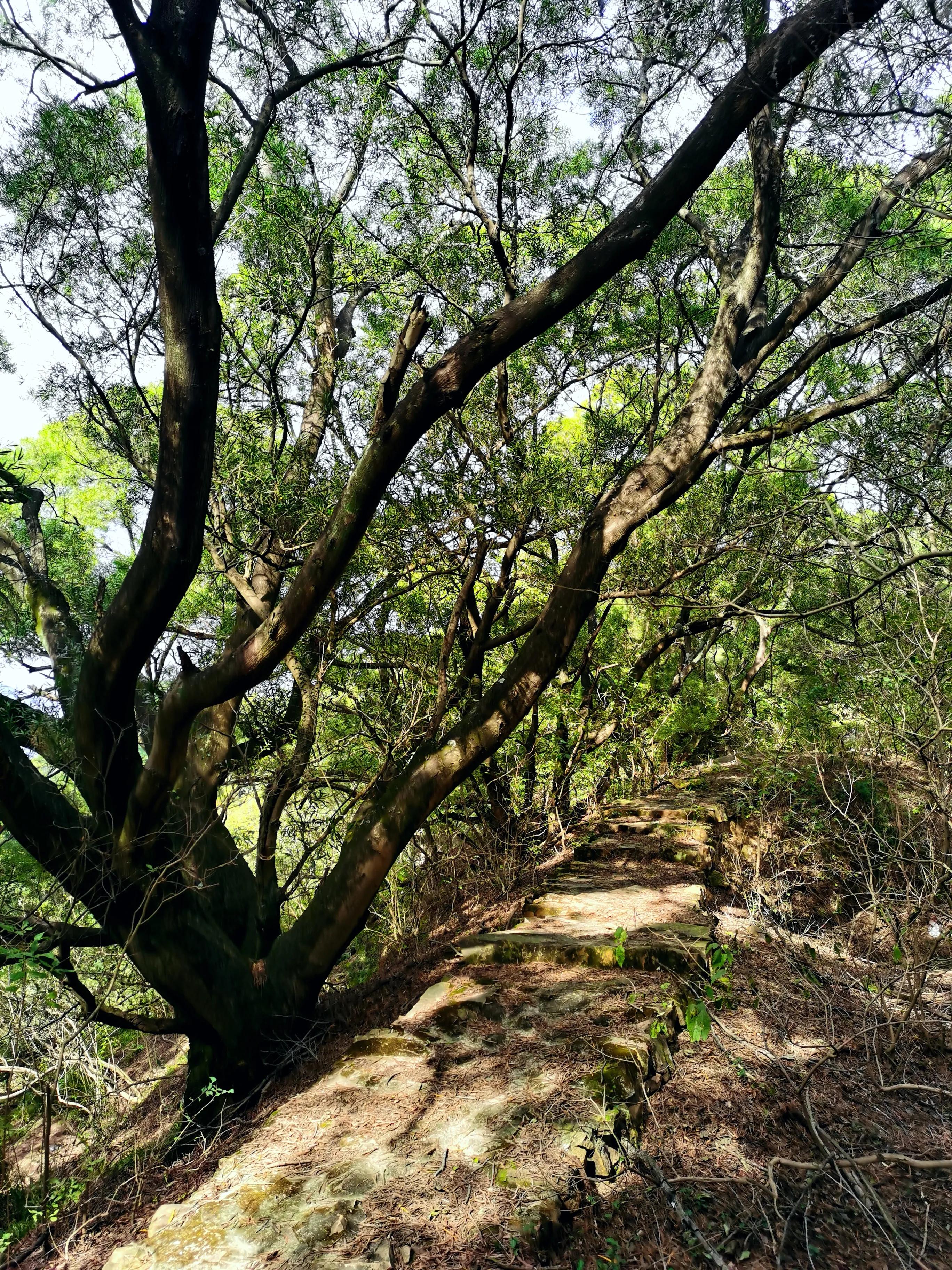 失败的金鸡山~登云水库~金鸡山瞎窜