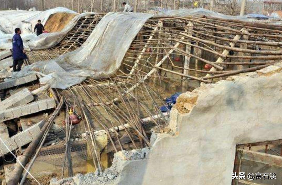 养孔雀一年能挣多少钱,我靠养殖发家致富