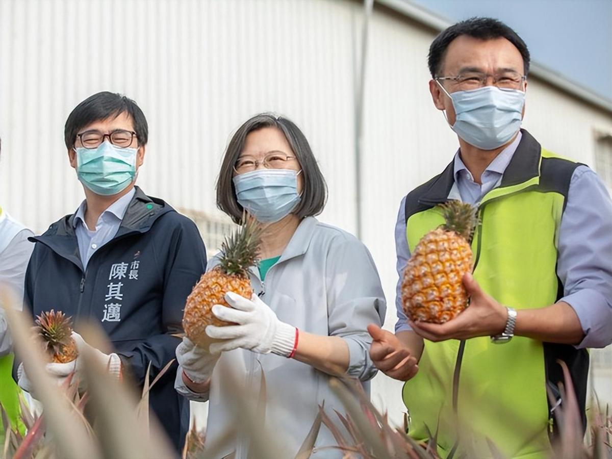 大陆恢复台湾番荔枝输入,大陆恢复输入台湾番荔枝