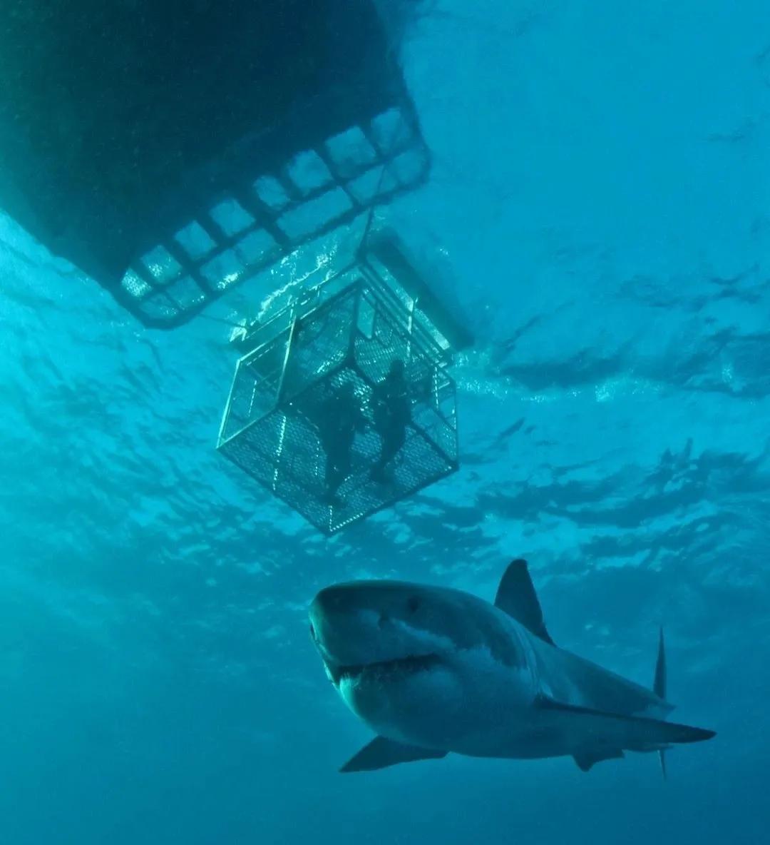 死亡使者约瓦安,死亡使者战斗力