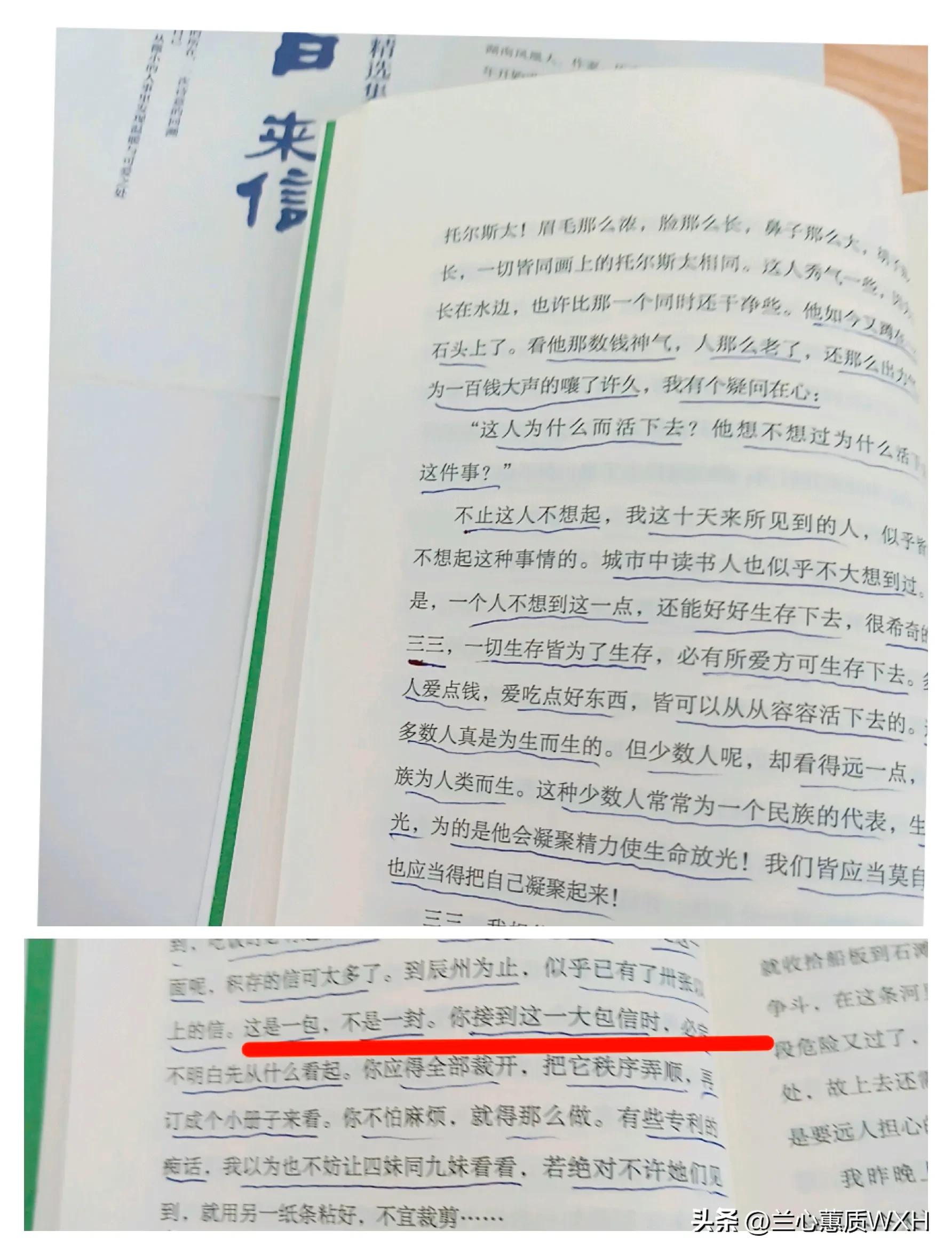 昔日来信沈从文,沈从文写给自己的家乡