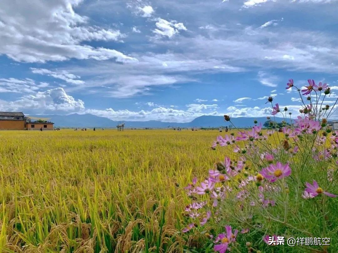 西安中转7小时,西安中转7小时可以去哪里