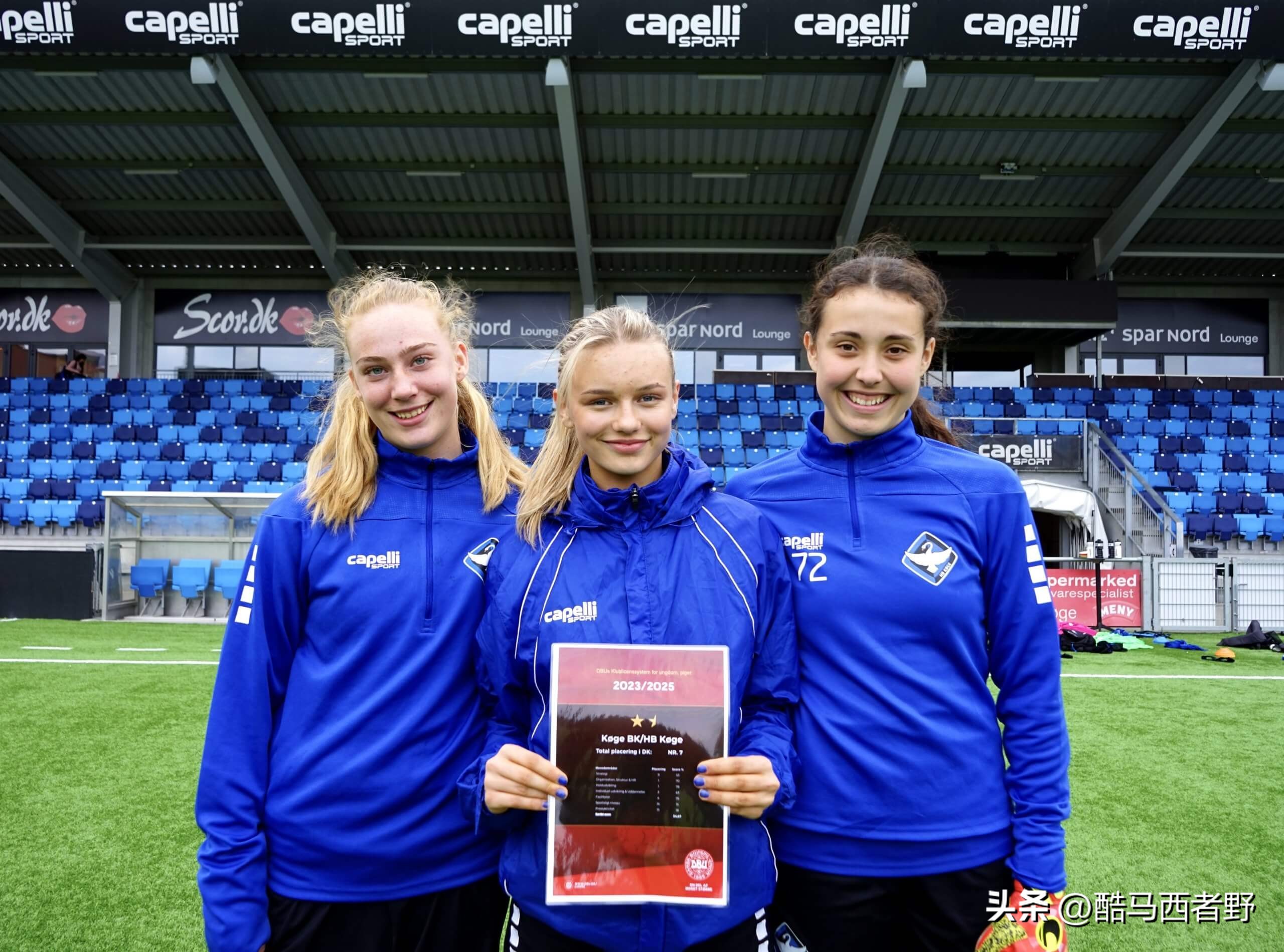 丹麦足球青训俱乐部,丹麦足协