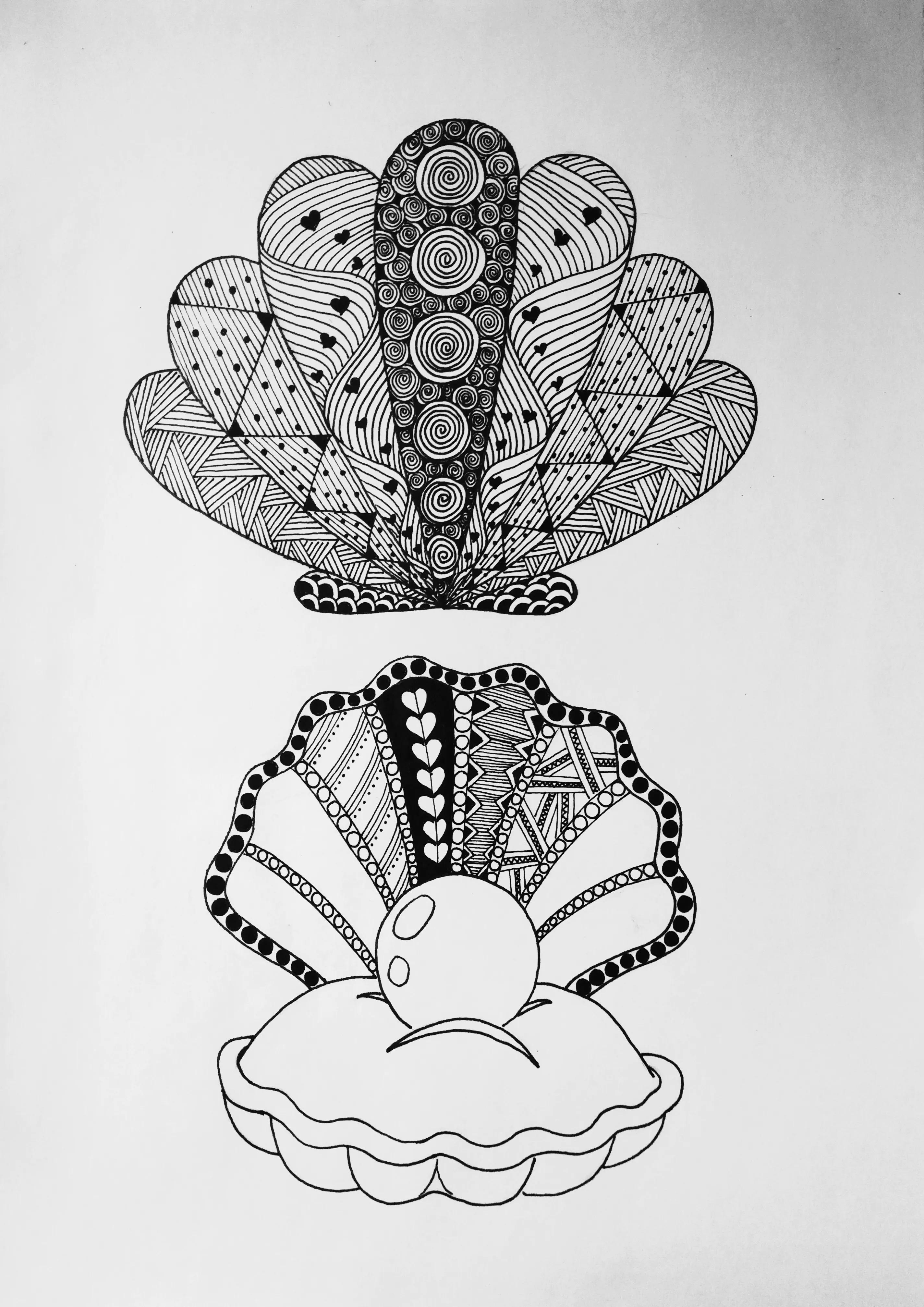 在扇贝上怎么画简单又漂亮,儿童线描画扇贝