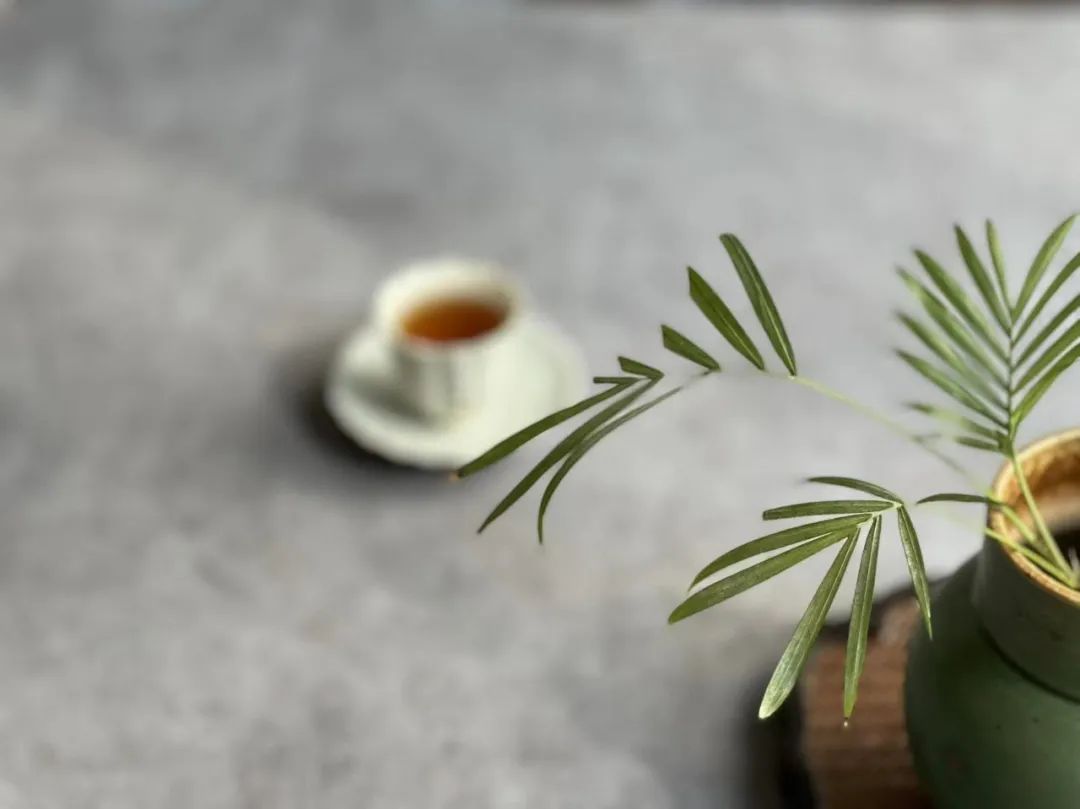 喝茶十多年了,岩茶最好喝的是哪一种