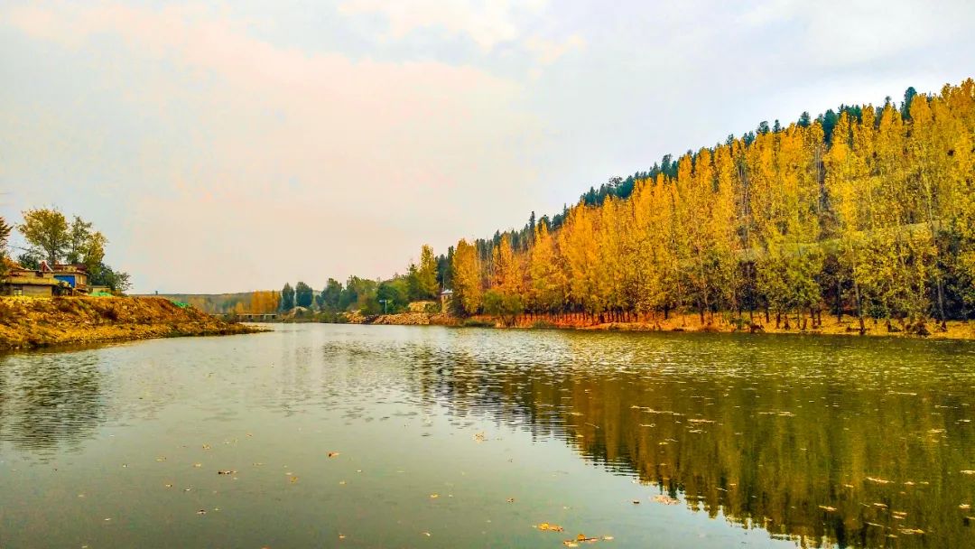 最经典秋日古诗,唐诗三百首和古诗十九首