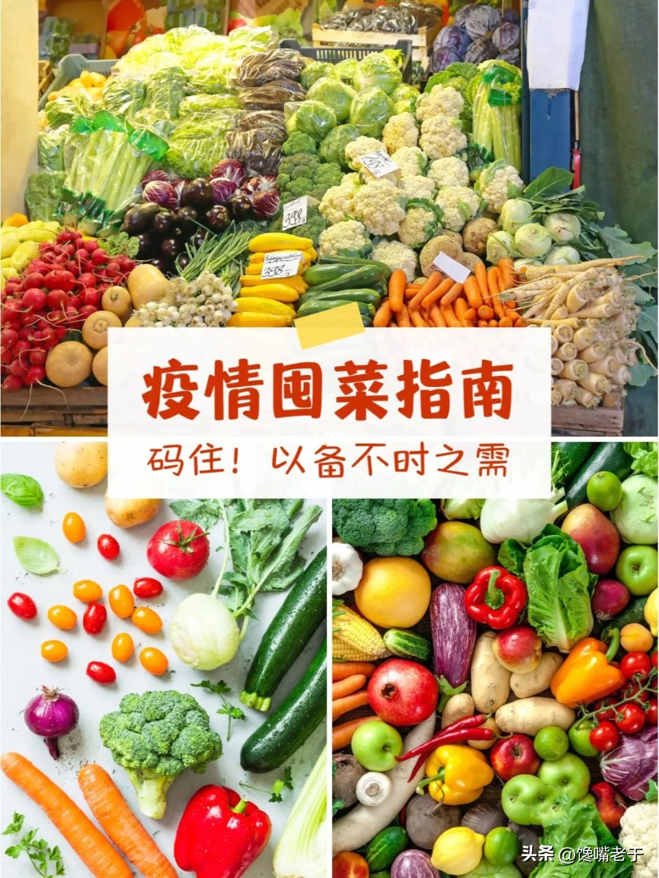 疫情之后有了囤货的习惯,隔离囤货指南