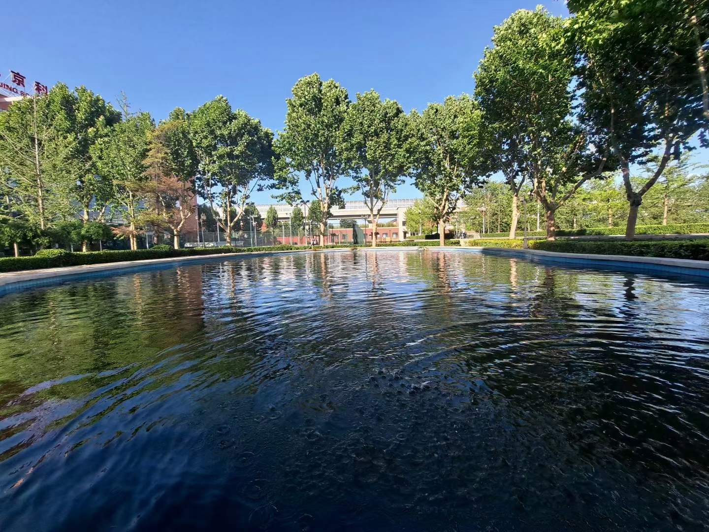 北大青鸟就业基地,北大青鸟的就业前景怎么样