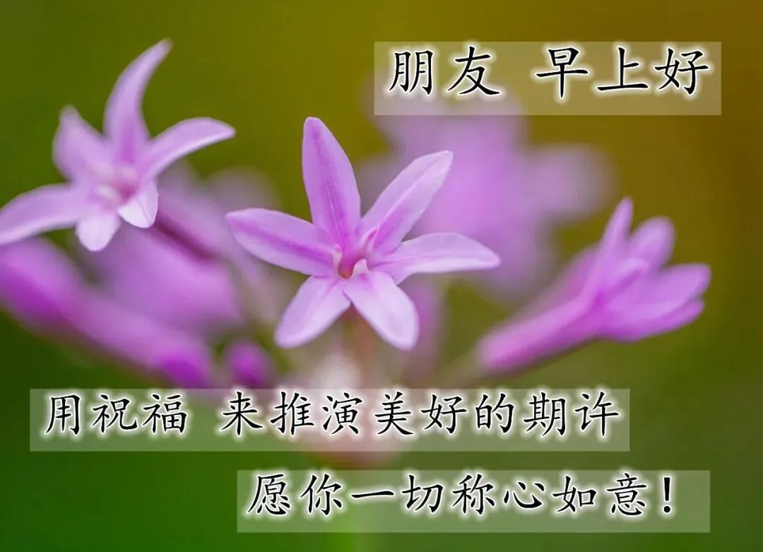 最新最美雨天早上好问候文字图片,夏日里最美的早晨问候图片大全