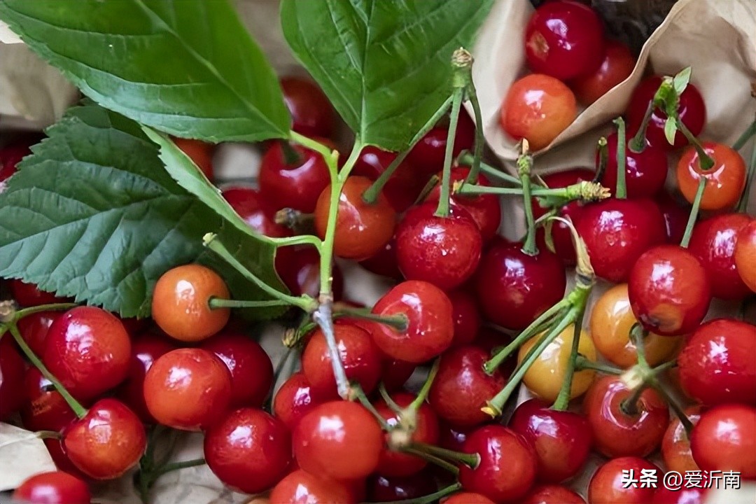 淄博市喊话,淄博市沂源县喊话