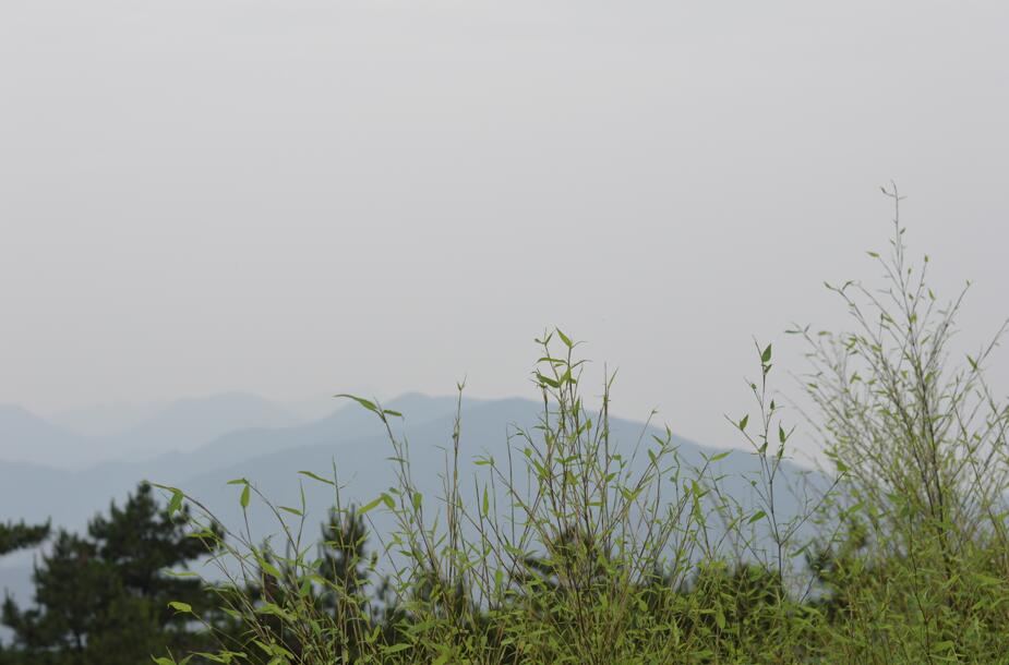 大明山牵牛岗露营,大明山牵牛岗攻略