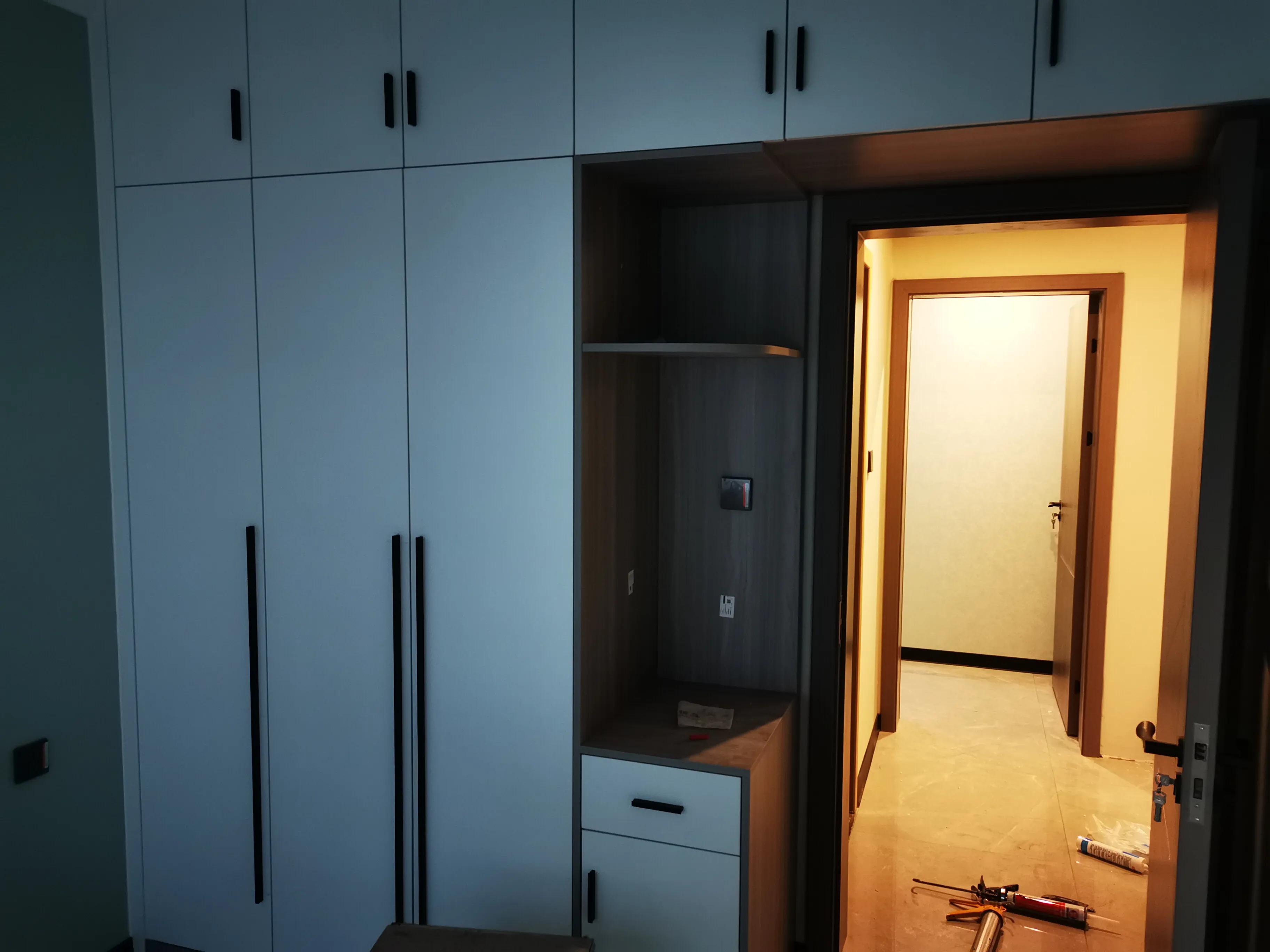 成都定制柜子鲁丽欧松板配PET肤感和高光门安装完工！640元/平方