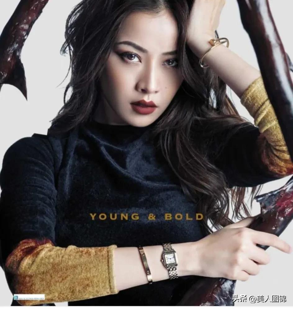 越南芝芙,芝芙越南