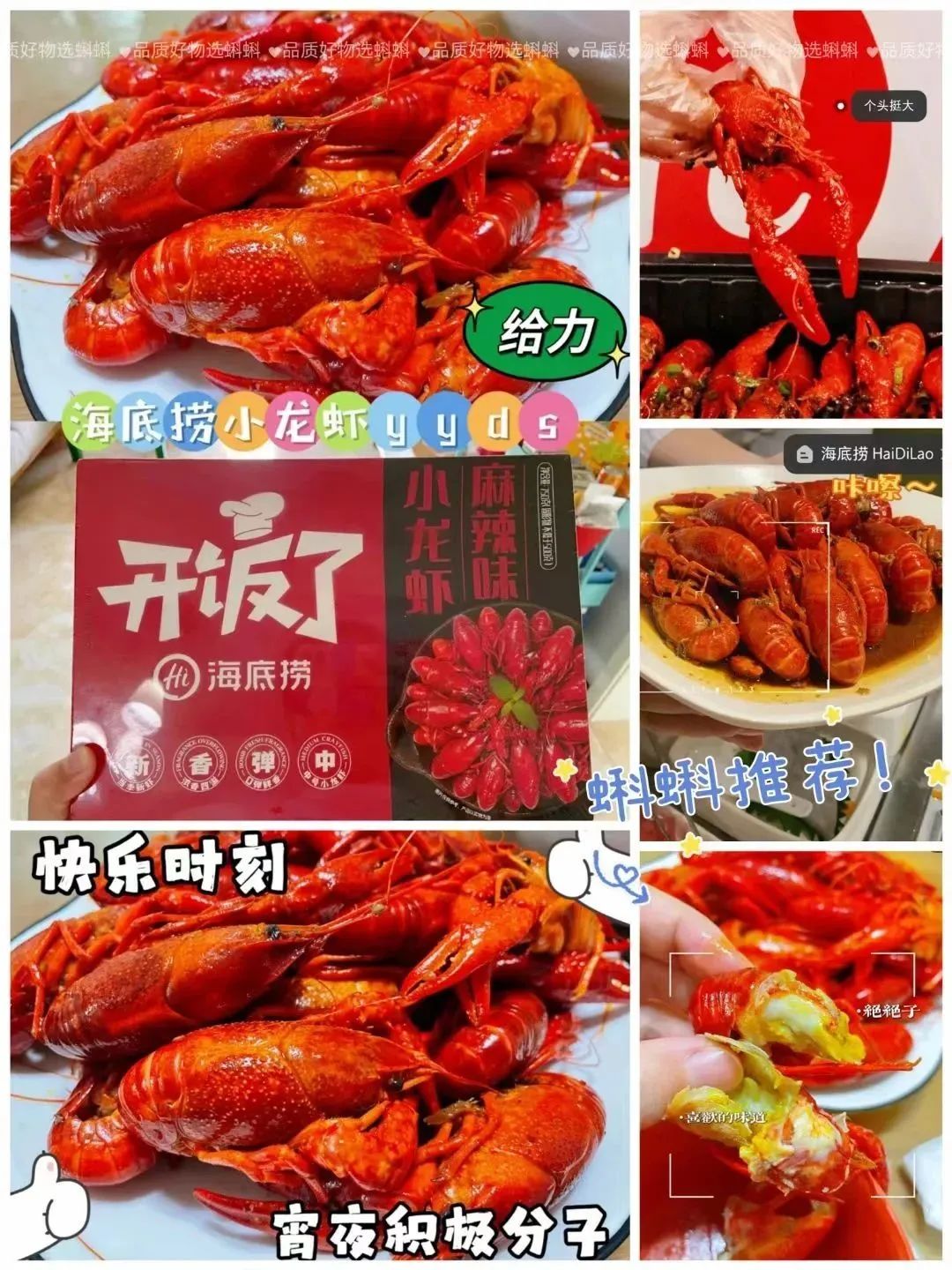 蝌蝌精选创始人李彬：如何通过社群将夫妻店连锁化