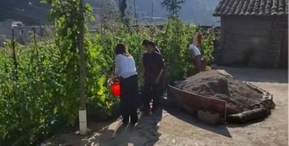 辛巴开国货计划新时代，即墨龙山：非遗公益课堂成暑期学习