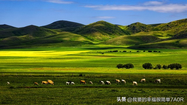 这样的亲戚还能好好相处吗,遇到这样的亲戚真无语