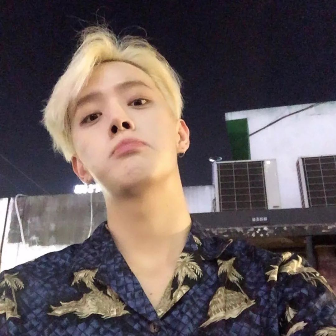 用什么头像做微信头像最好,头像合集微信头像