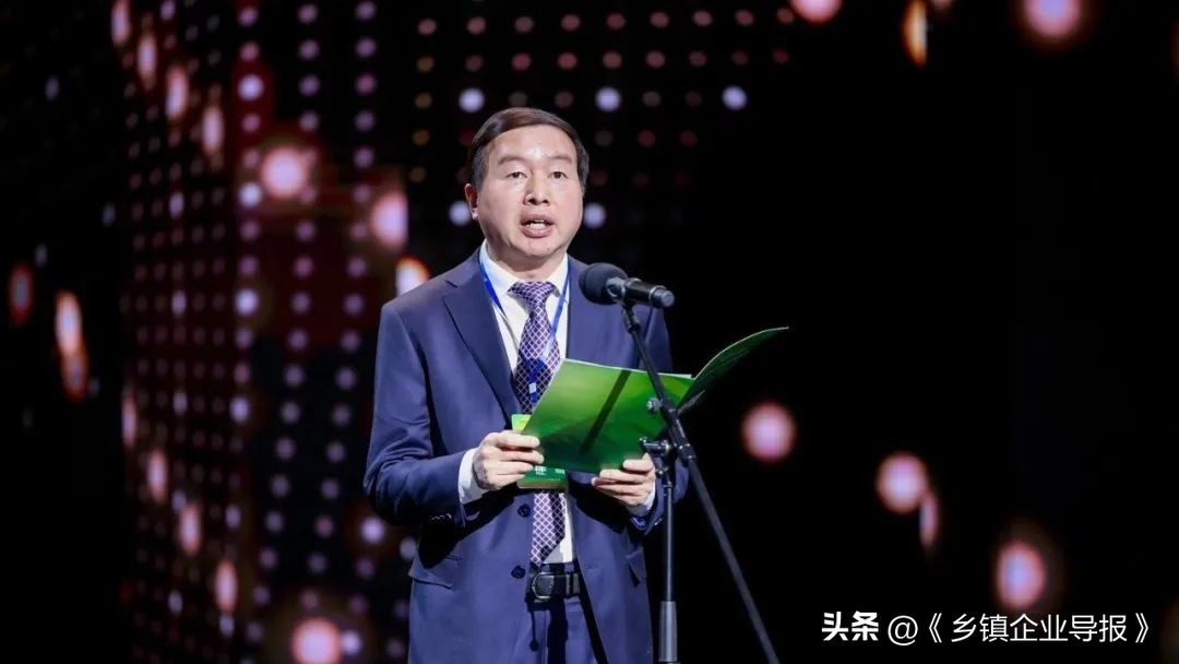 乡村振兴赋能计划人才典型案例,乡村振兴之文化振兴案例