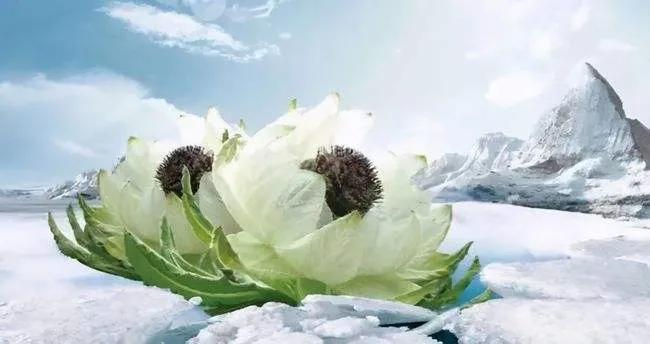 静下心来会有不一样的感悟,静下心来感言感悟