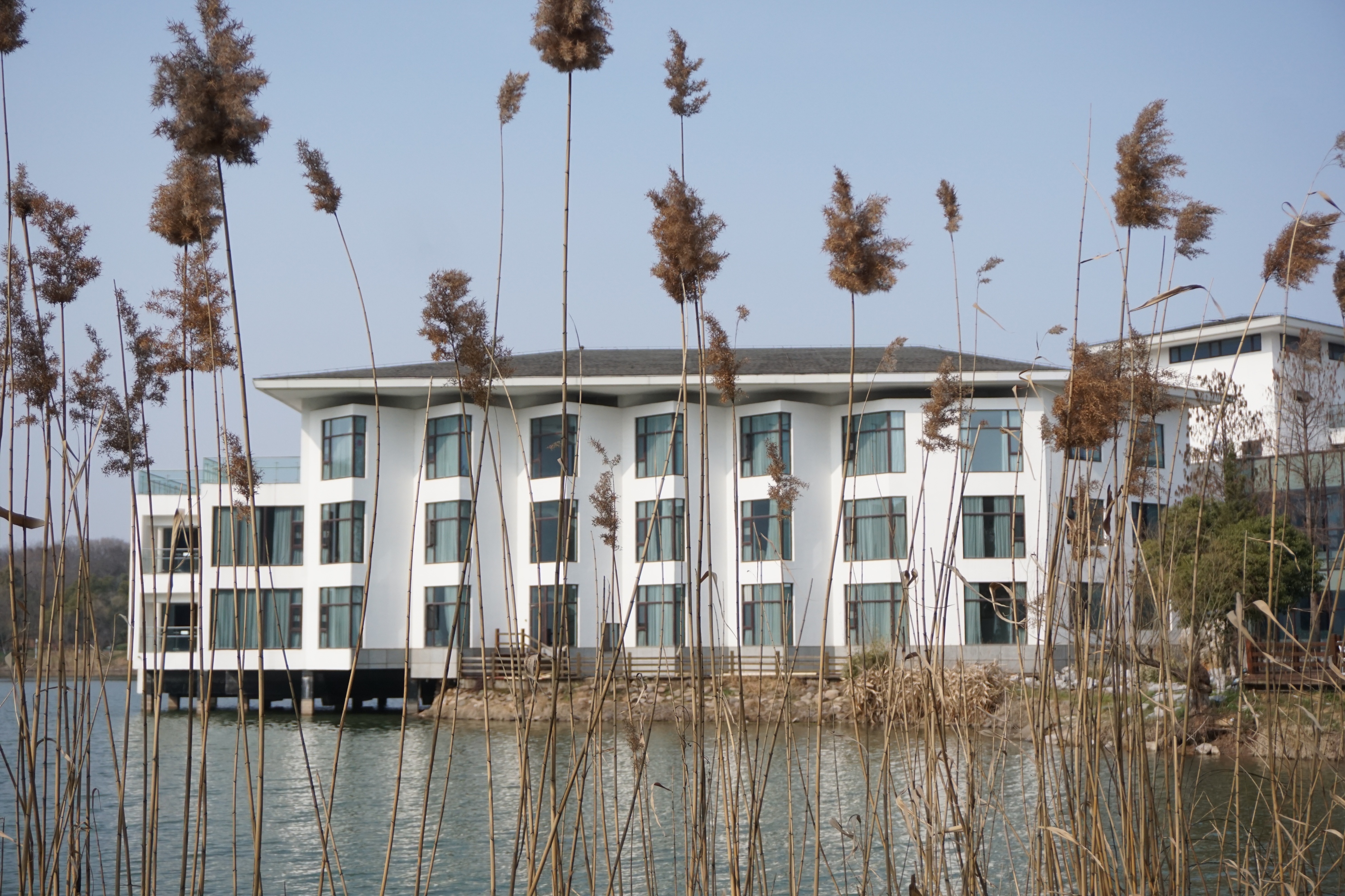 南京人看杭州,南京紫金山庄在哪里