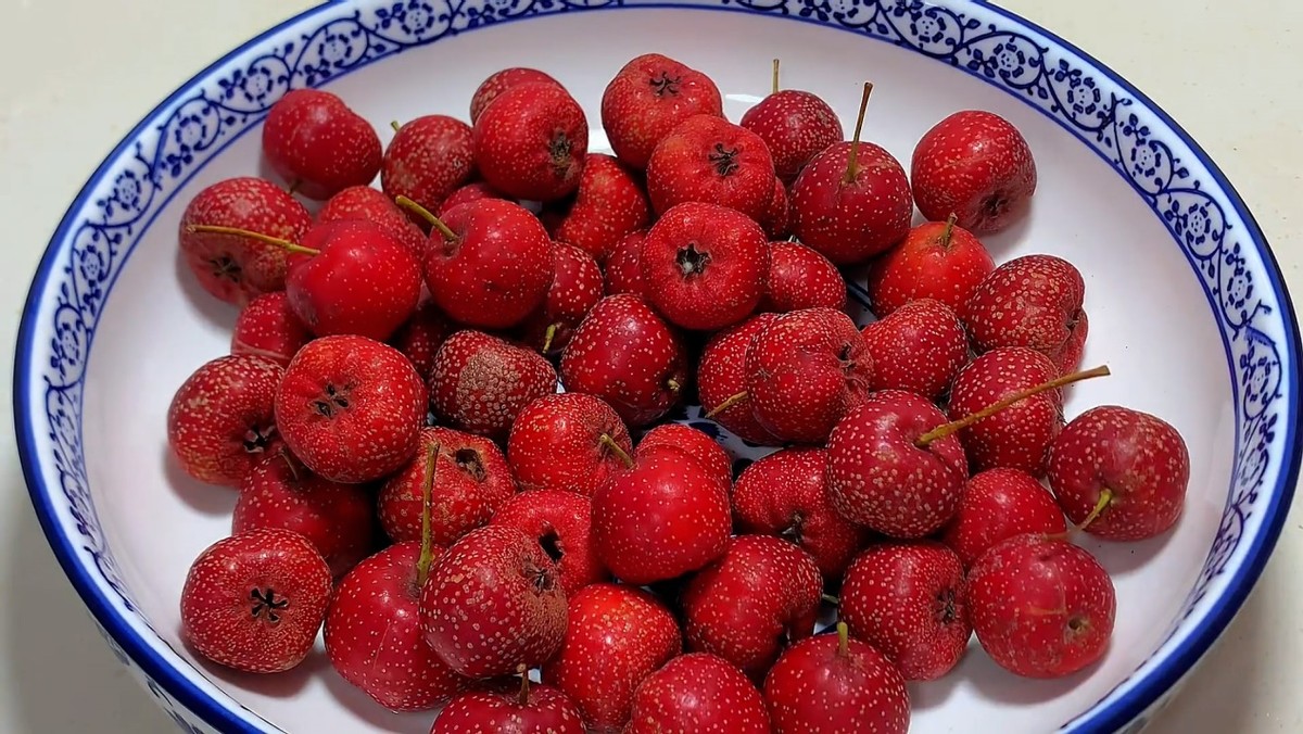 五谷杂粮清肝火排肝毒,既能清热燥肝又能泄肝火的食物