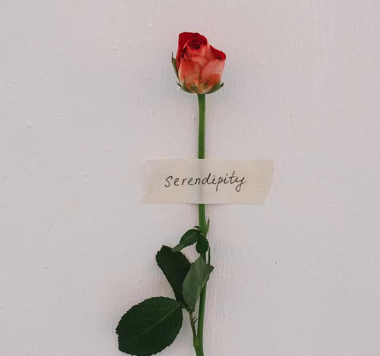 中年男人很喜欢你又有顾虑的表现,有家庭的中年男人真正爱你的表现