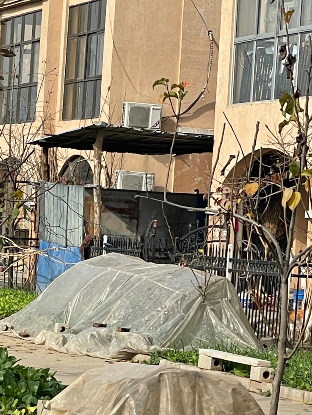 环渤海湾骑行记,环山东骑行日记青岛平度市