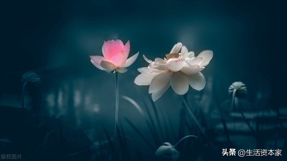 诗词里的唯美意境春天,赞美春天的诗词和美句