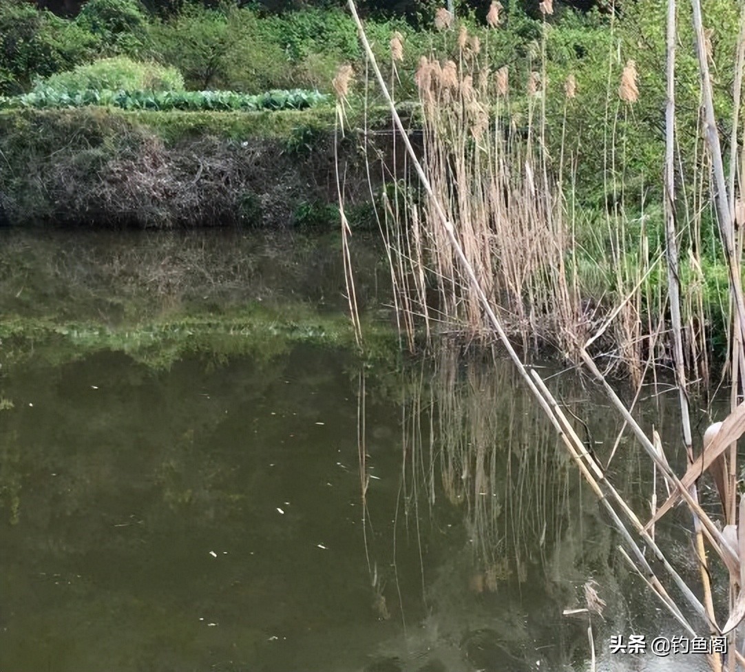 冬季打窝为什么鱼儿不吃钩,鱼儿不吃钩有什么好办法