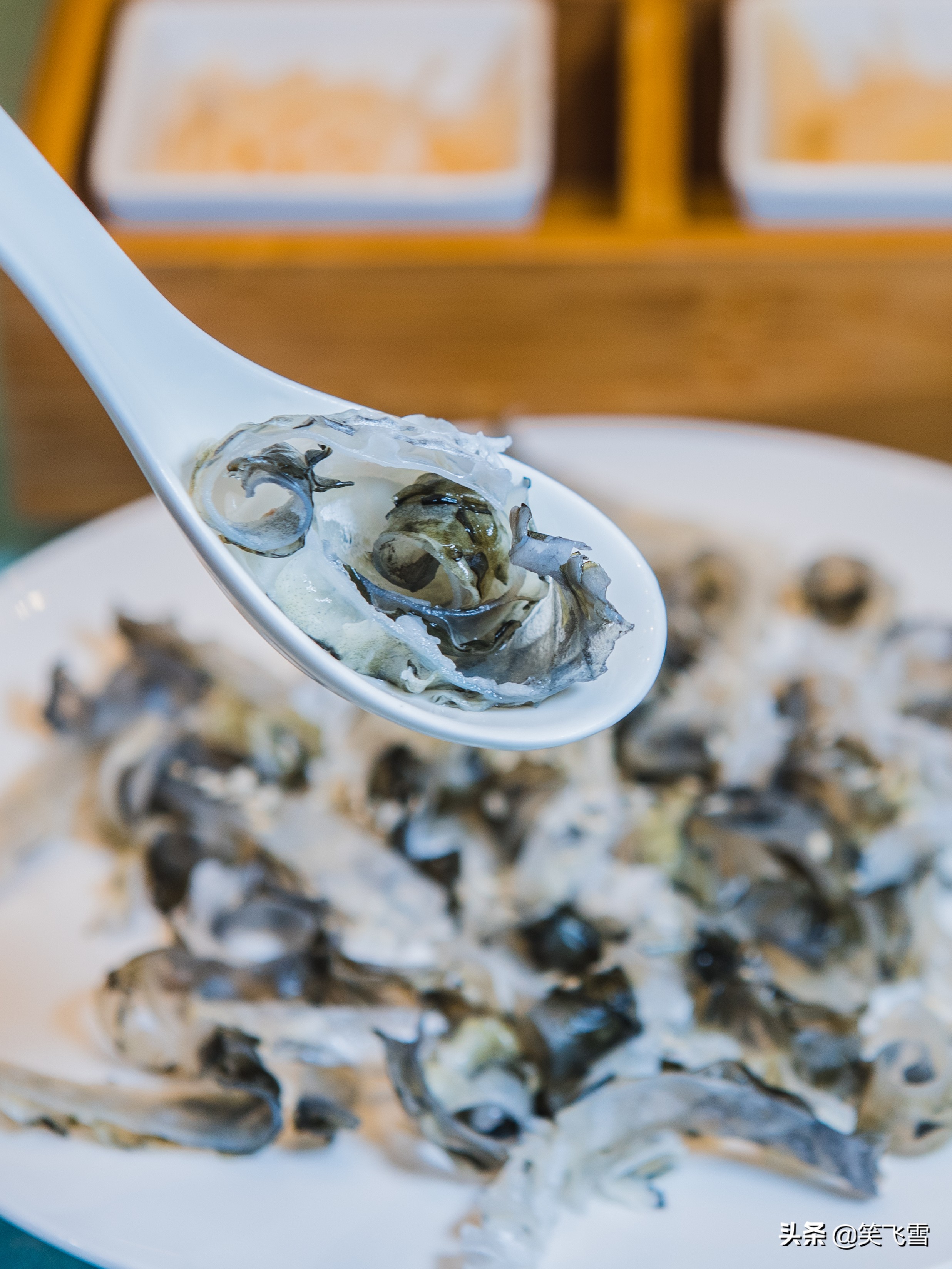 去顺德有什么好玩的,去顺德必玩的地方