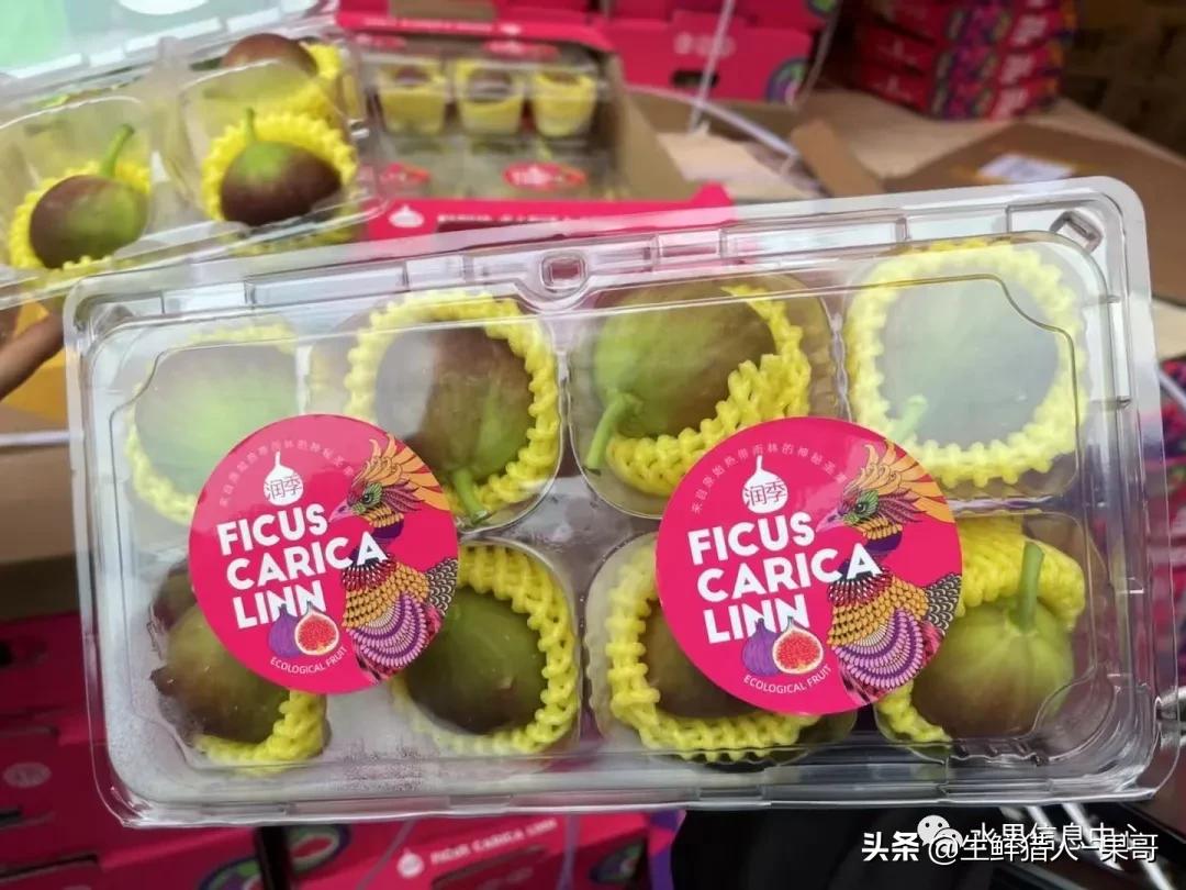 在水果中浆果是分哪几种,水果分类浆果