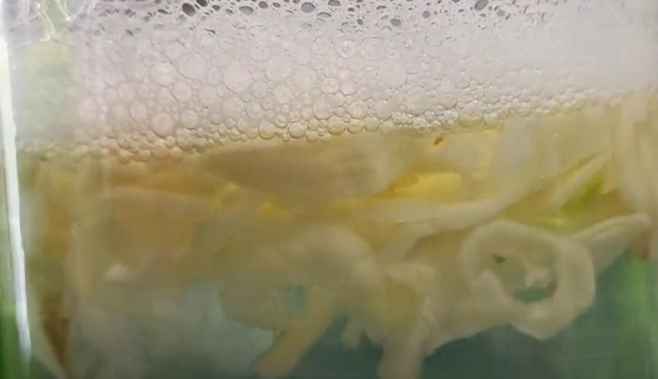 家里蟑螂太多怎么处理蟑螂,夏天蟑螂多教你一个小妙招