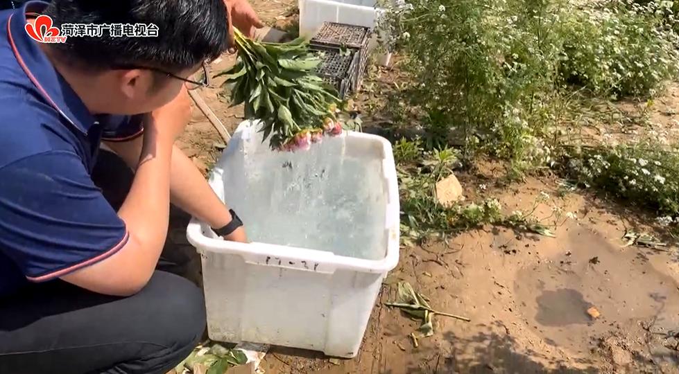 鲜花去哪了？带您在花尽处，又见“花开”